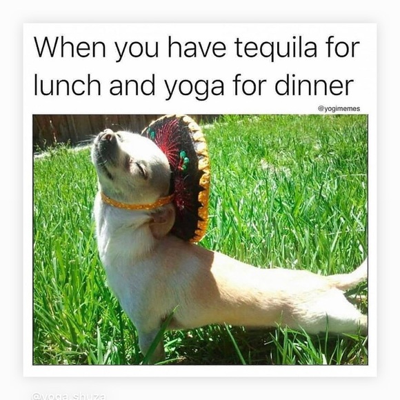 Meet your Posher, Rosa - Picture 1 of 1